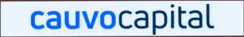 Логотип организации КаувоКапитал
