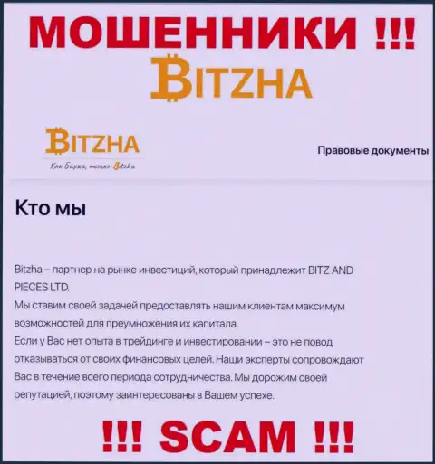 Bitzha - это профессиональные воры, тип деятельности которых - Инвестирование