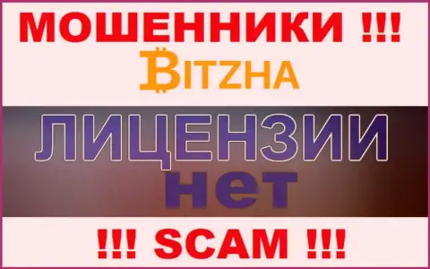 Кидалам Bitzha24 не выдали лицензию на осуществление их деятельности - крадут вклады