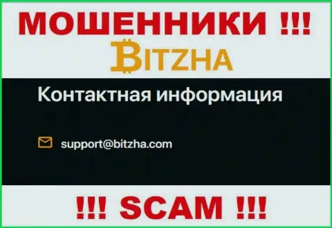 Адрес электронного ящика ворюг Битжа24 Ком, инфа с официального интернет-портала