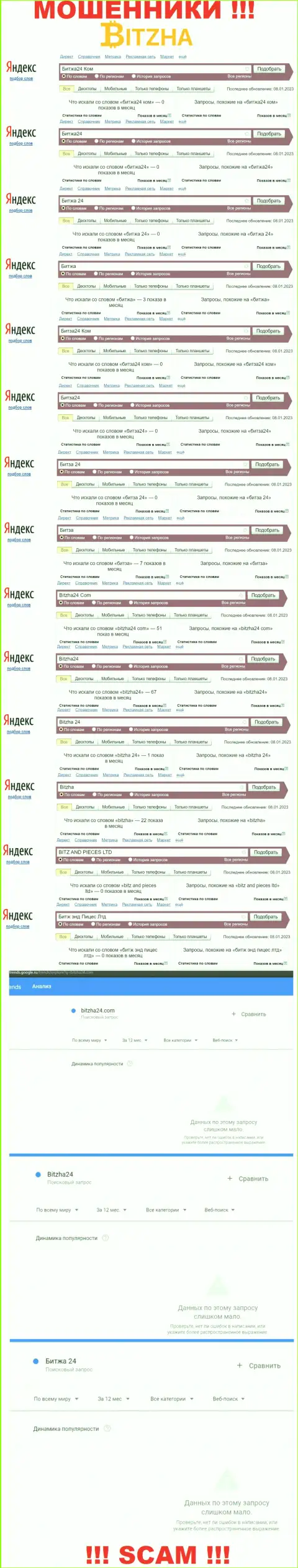 Сколько раз пользователи всемирной сети пытались отыскать информацию о мошенниках Bitzha ???