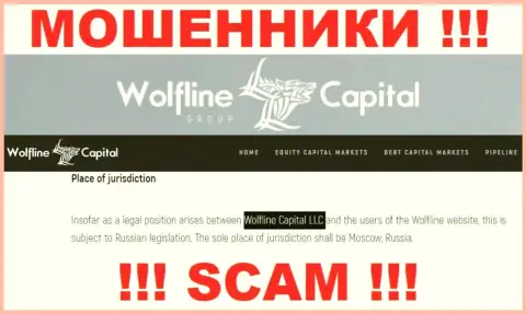 Юр. лицо организации Wolfline Capital - это ООО Волфлайн Капитал