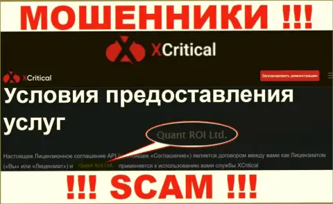 Мошенническая контора X Critical принадлежит такой же противозаконно действующей конторе Куант РОИ ЛТД