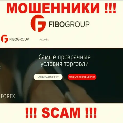 Область деятельности компании Fibo Group - это ловушка для лохов