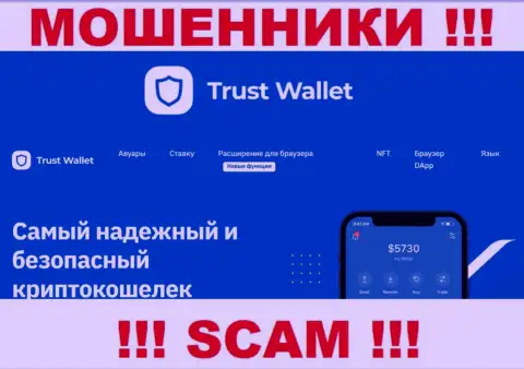 Что касательно типа деятельности Trust Wallet (Криптовалютный кошелек) - это стопроцентно надувательство