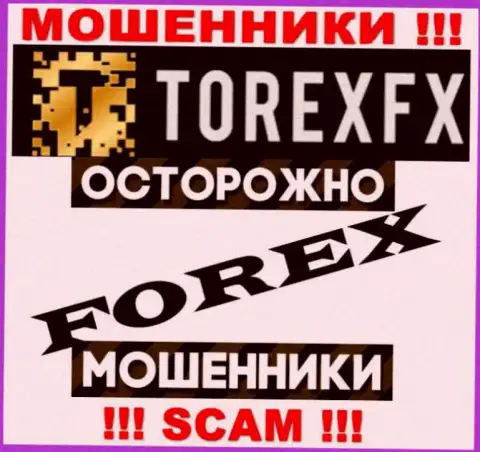 Род деятельности Torex FX: ФОРЕКС - отличный заработок для интернет-кидал